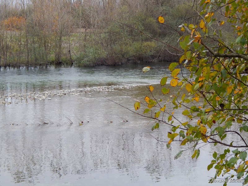 Parco del Ticino 23/11/13